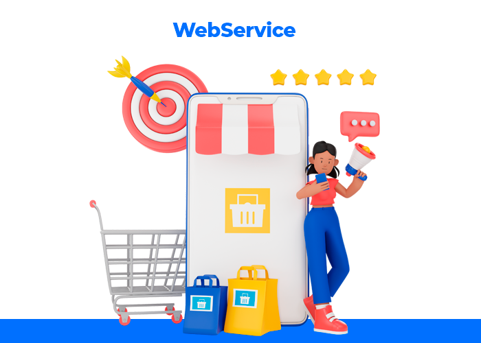 webservice_V3.png